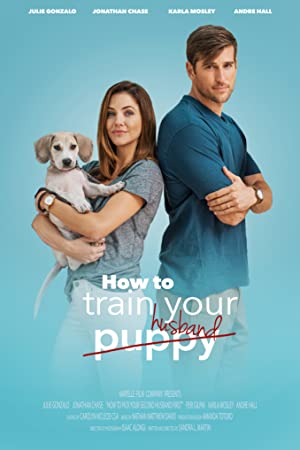 How To Train Your Husband (2017) Hindi Dubbed