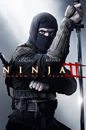 Ninja 2 Shadow of a Tear (2013) Hindi Dubbed